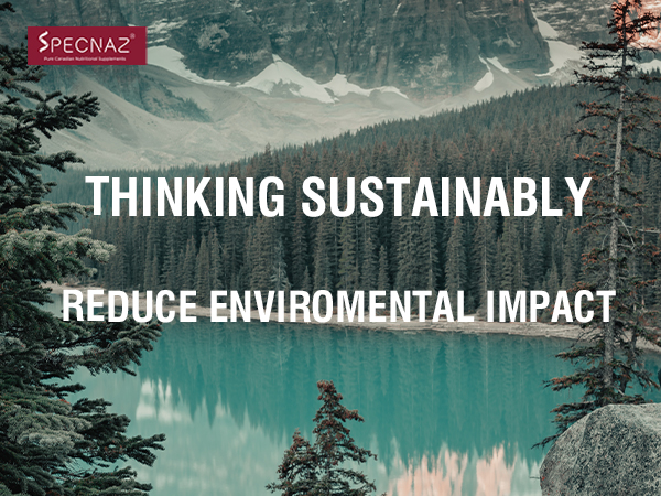 THINKING SUSTAINABLY