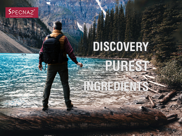 DISCOVERY THE PURE INGREDIENTS